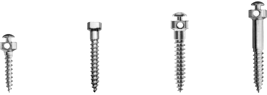 Extraradicular and Interradicular Orthodontic Mini Screw - IZC Screw & BSS Screw